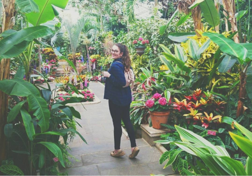 water and sunlight.PNG