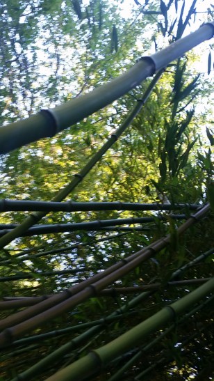 Snapchat-7886036985226296964