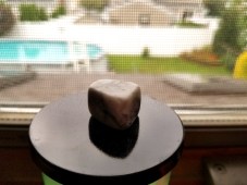 20170729_103144