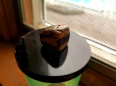 20170729_103335