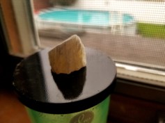 20170729_103405