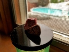 20170729_103436