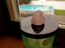 20170729_103605