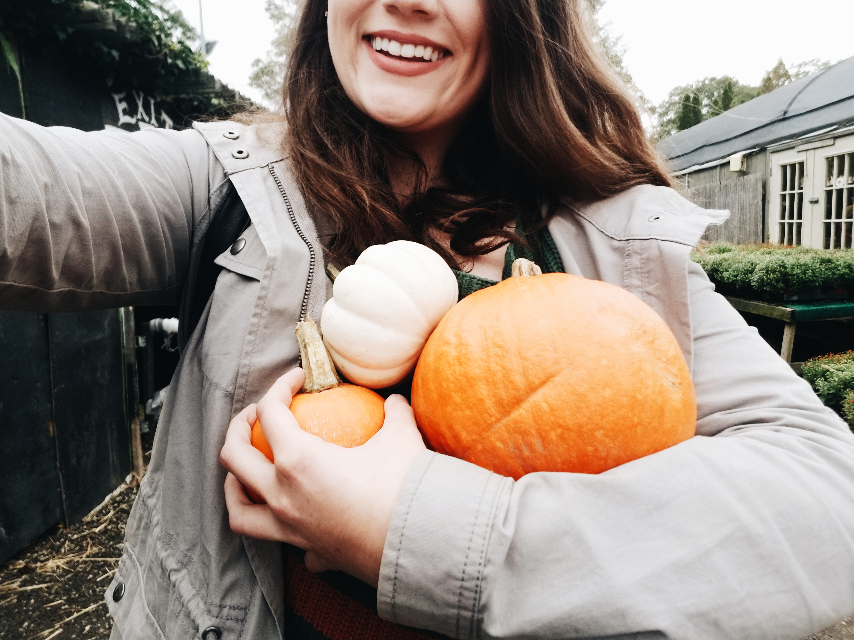 2018-10-14 03.34.55 1.jpg